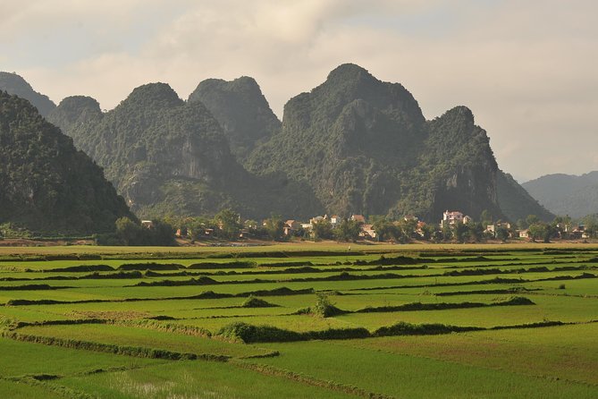 Tour to the caves ONE DAY tour to Phong Nha and Paradise caves - Paradise Cave and its vast dry interior