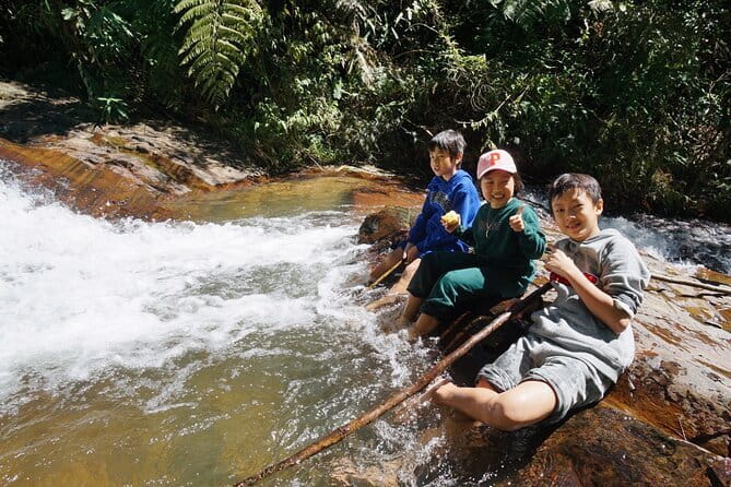 Trekking Tour to Hidden Waterfall & Sturgeon Farm for dog-lovers - Reaching a waterfall closed to the public
