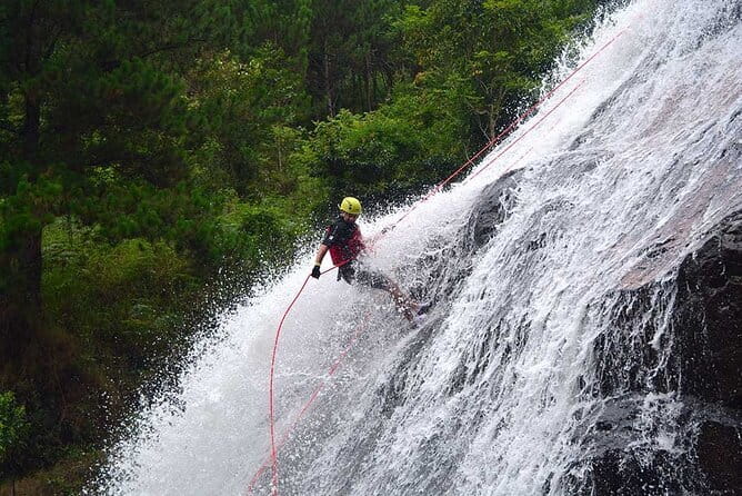Trekking Tour to Hidden Waterfall & Sturgeon Farm for dog-lovers - Why the dogs matter for families and animal lovers